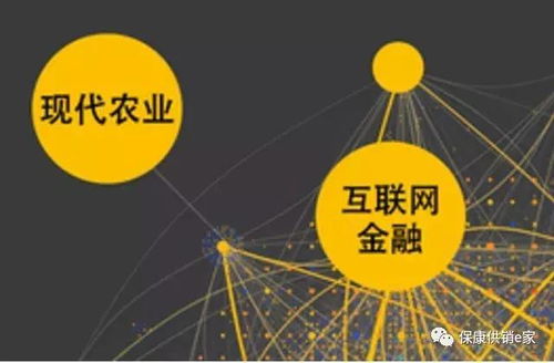 互聯(lián)網(wǎng)+農(nóng)產(chǎn)品業(yè)態(tài) ?？倒╀N(xiāo)社以“五有”模式助力鄉(xiāng)村振興